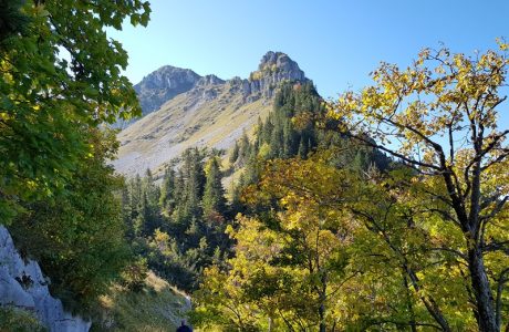 נופש חברה בחו"ל
