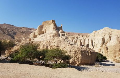 נופש חברה לעובדים בים המלח