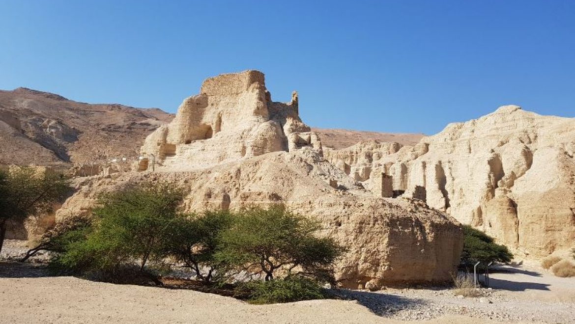 נופש חברה לעובדים בים המלח