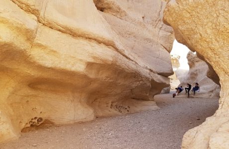 נופש חברה לעובדים במצפה רמון