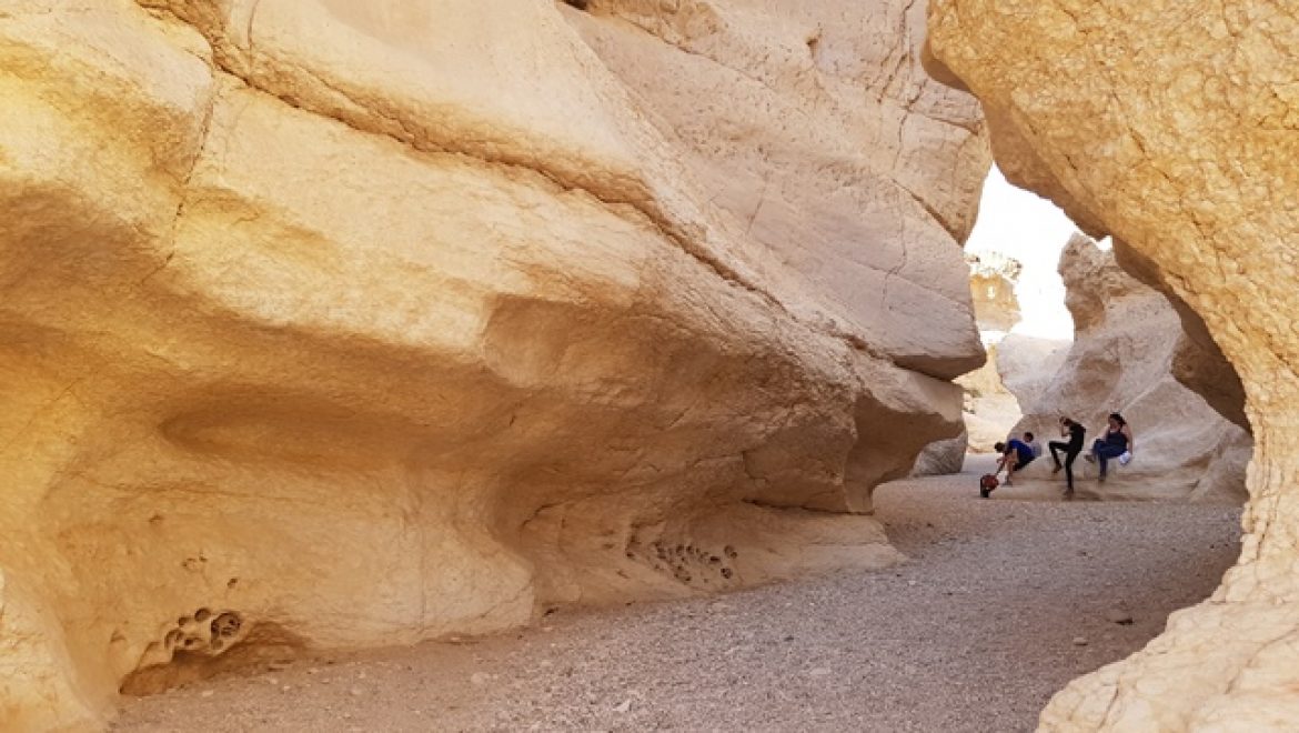 נופש חברה לעובדים במצפה רמון